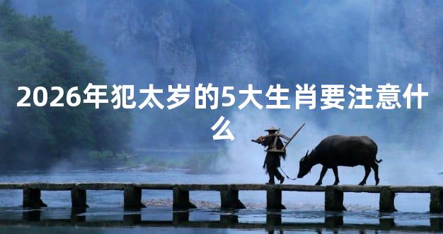 2026年犯太岁的5大生肖要注意什么