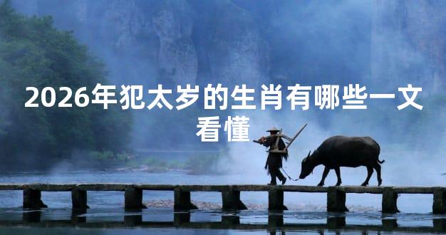 2026年犯太岁的生肖有哪些一文看懂