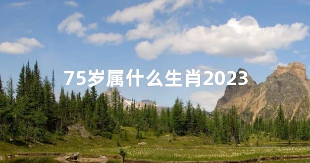 75岁属什么生肖2023