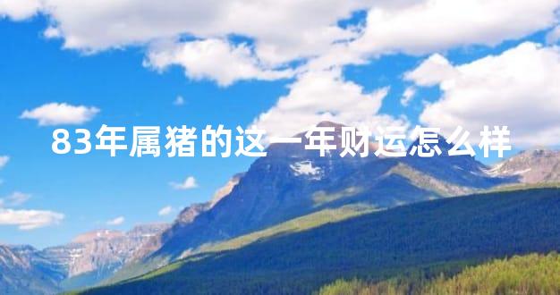83年属猪的这一年财运怎么样