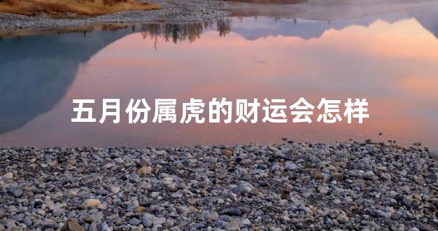 五月份属虎的财运会怎样