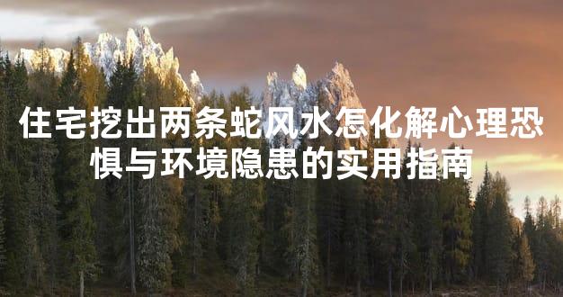 住宅挖出两条蛇风水怎化解心理恐惧与环境隐患的实用指南