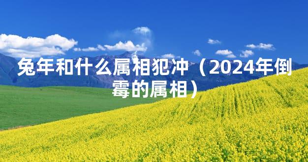 兔年和什么属相犯冲（2024年倒霉的属相）