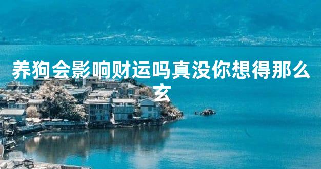 养狗会影响财运吗真没你想得那么玄