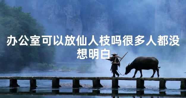 办公室可以放仙人枝吗很多人都没想明白