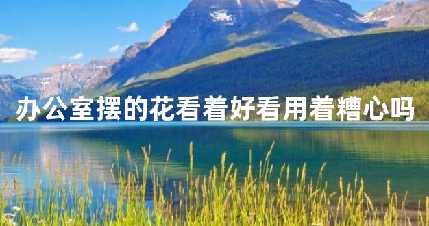办公室摆的花看着好看用着糟心吗