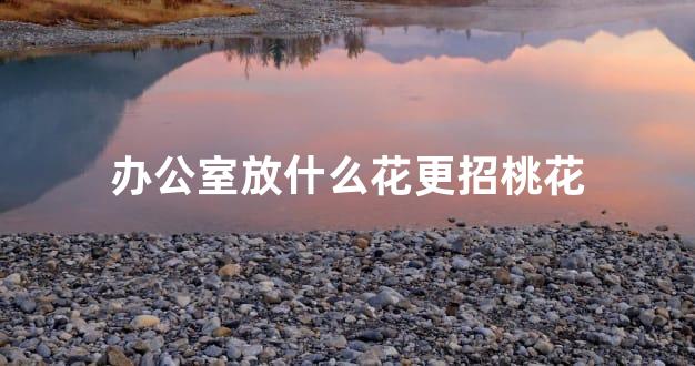 办公室放什么花更招桃花
