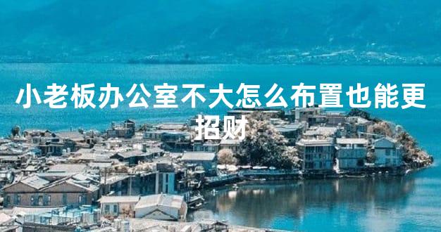 小老板办公室不大怎么布置也能更招财