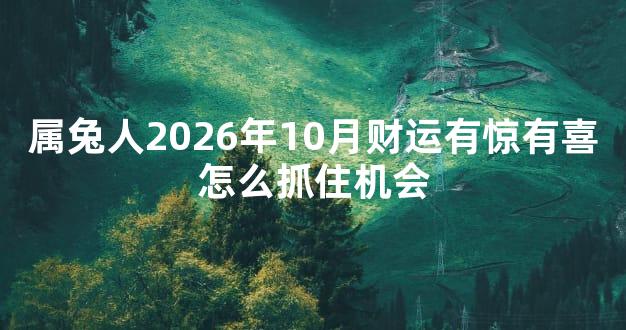 属兔人2026年10月财运有惊有喜怎么抓住机会