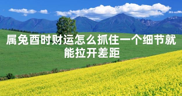 属兔酉时财运怎么抓住一个细节就能拉开差距