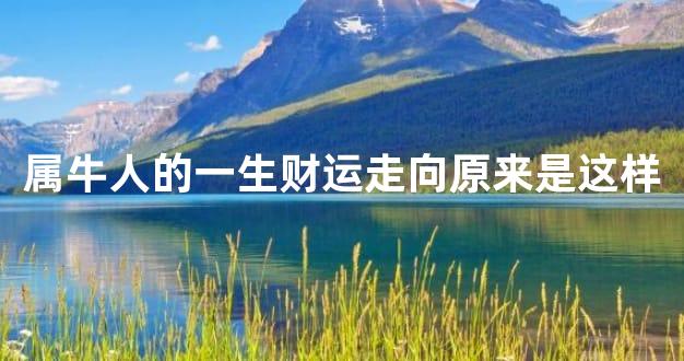 属牛人的一生财运走向原来是这样