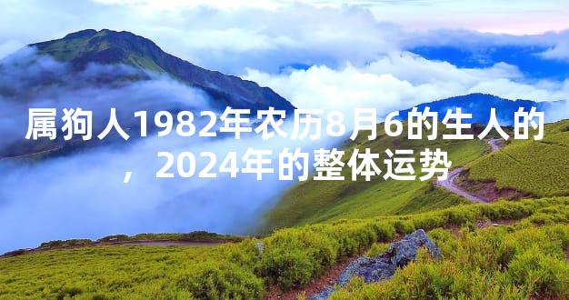 属狗人1982年农历8月6的生人的，2024年的整体运势