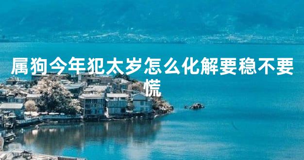 属狗今年犯太岁怎么化解要稳不要慌