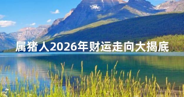 属猪人2026年财运走向大揭底