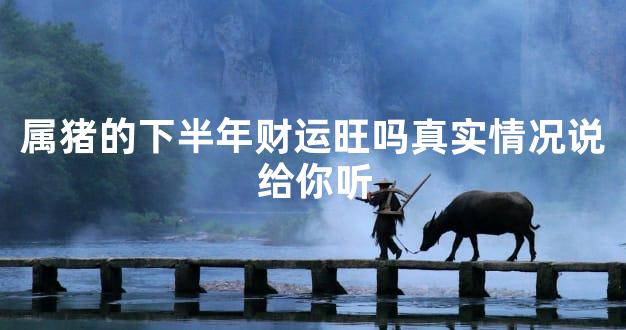 属猪的下半年财运旺吗真实情况说给你听