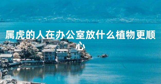 属虎的人在办公室放什么植物更顺心