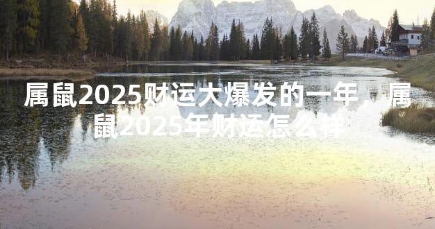 属鼠2025财运大爆发的一年，属鼠2025年财运怎么样