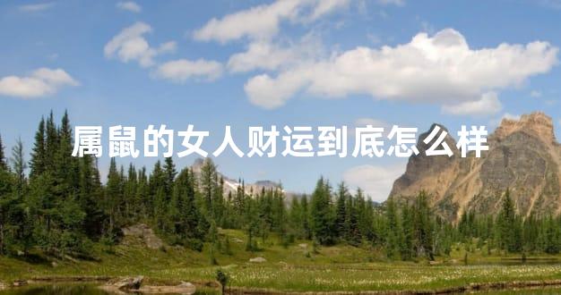 属鼠的女人财运到底怎么样