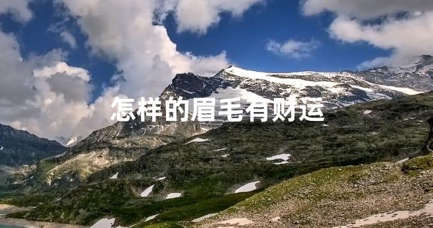 怎样的眉毛有财运