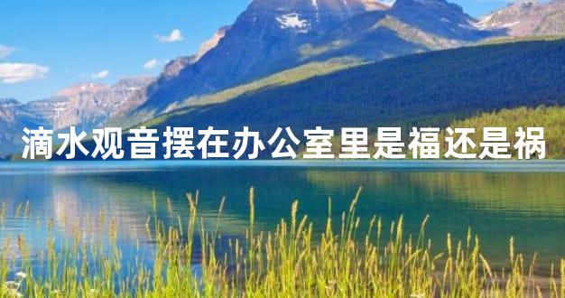 滴水观音摆在办公室里是福还是祸