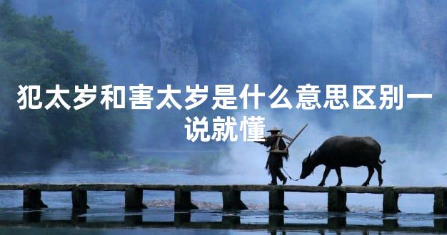 犯太岁和害太岁是什么意思区别一说就懂