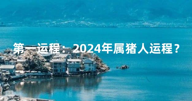 第一运程：2024年属猪人运程？