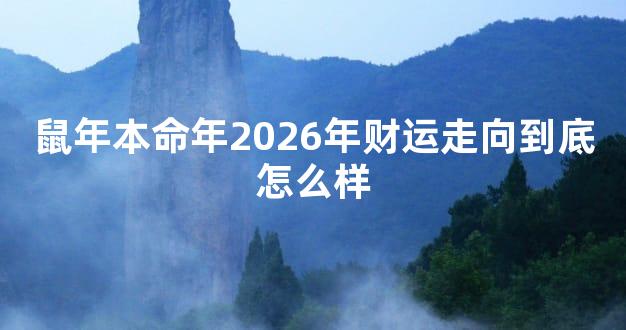 鼠年本命年2026年财运走向到底怎么样