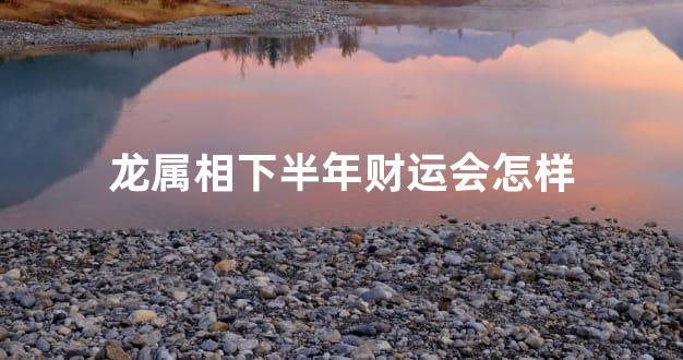 龙属相下半年财运会怎样